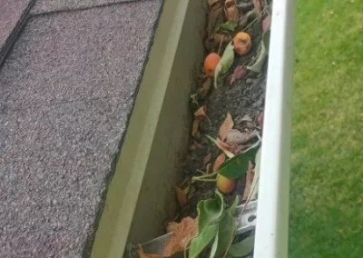 Garden Landscaping