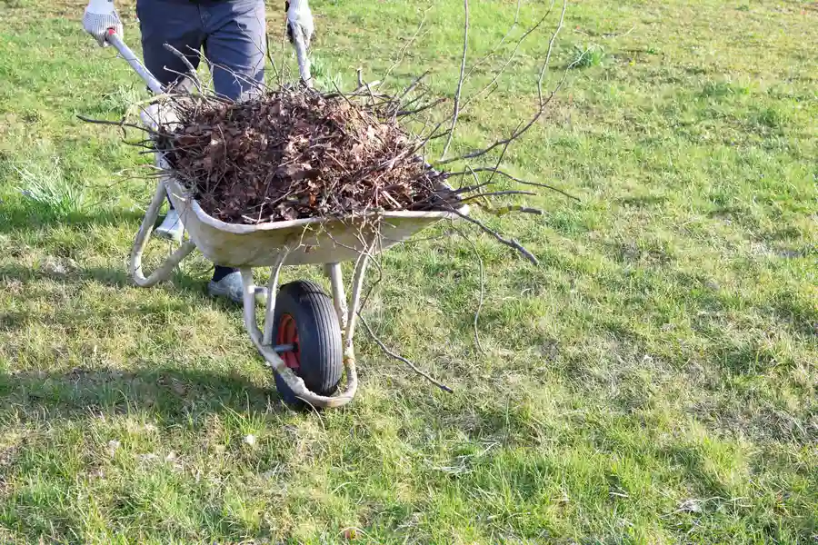 How Yard Cleanup Improves The Health Of Your Landscape in Orem, UT