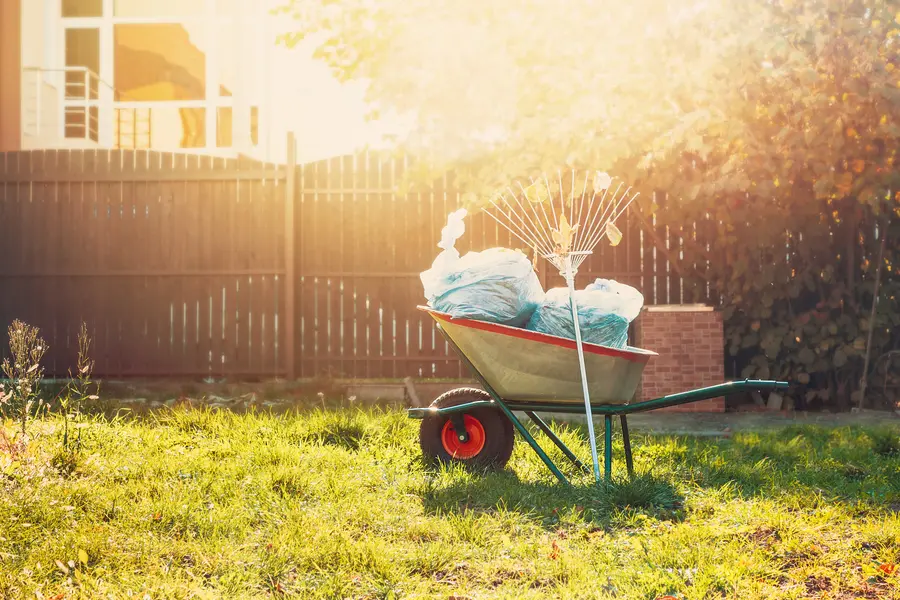 How Yard Cleanup Improves The Health Of Your Landscape in Orem, UT