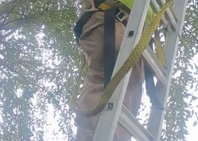 Landscape Contractor