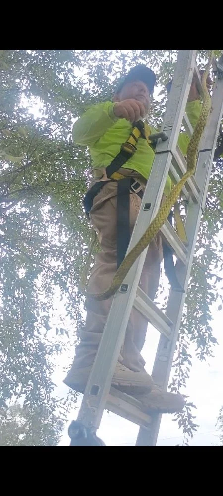 Our landscape contractor at work in Orem, UT
