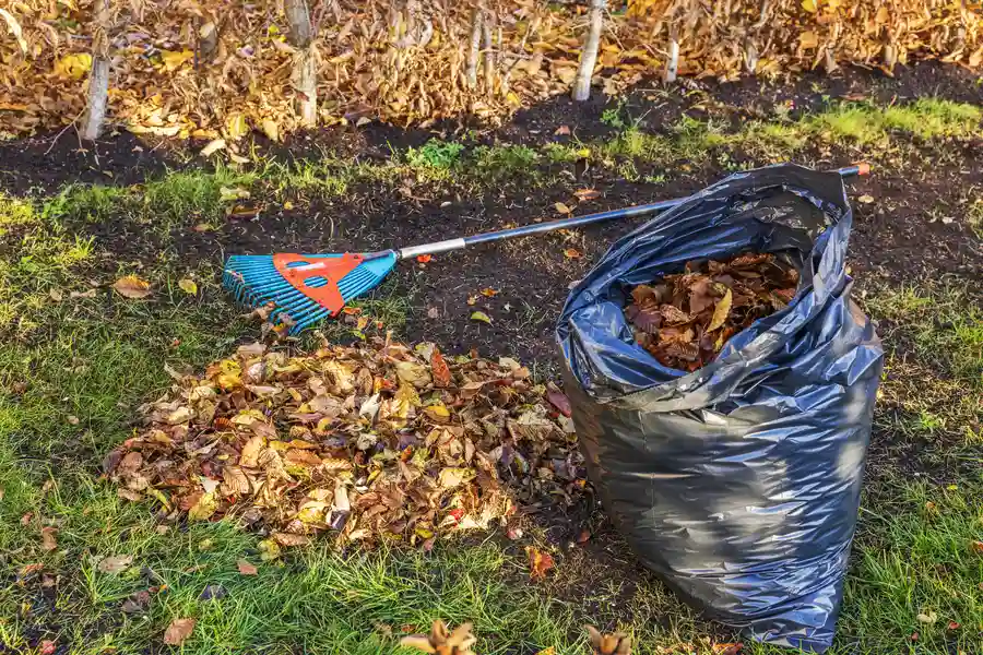 Professional Yard Cleanup in Orem, UT