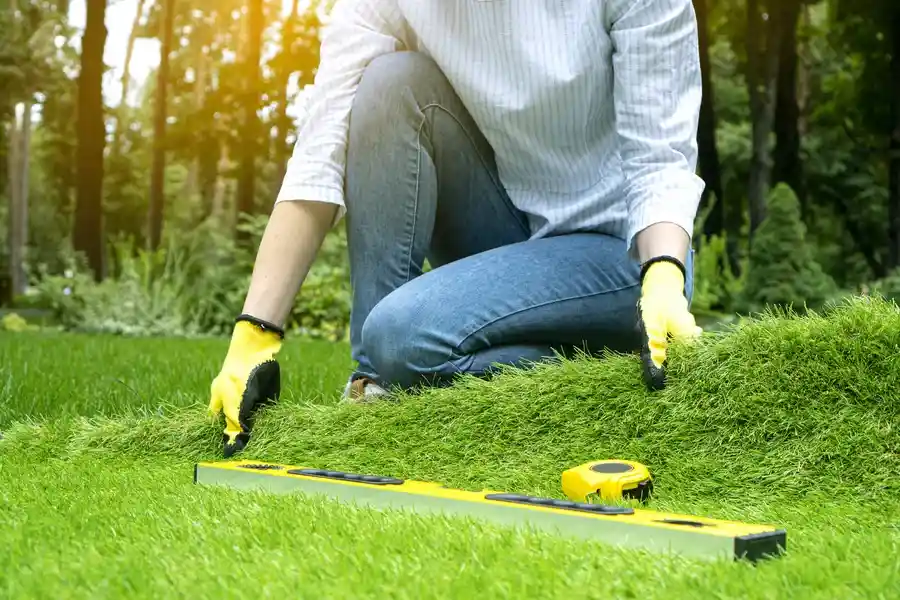 Reputable Artificial Turf Installation in Orem, UT