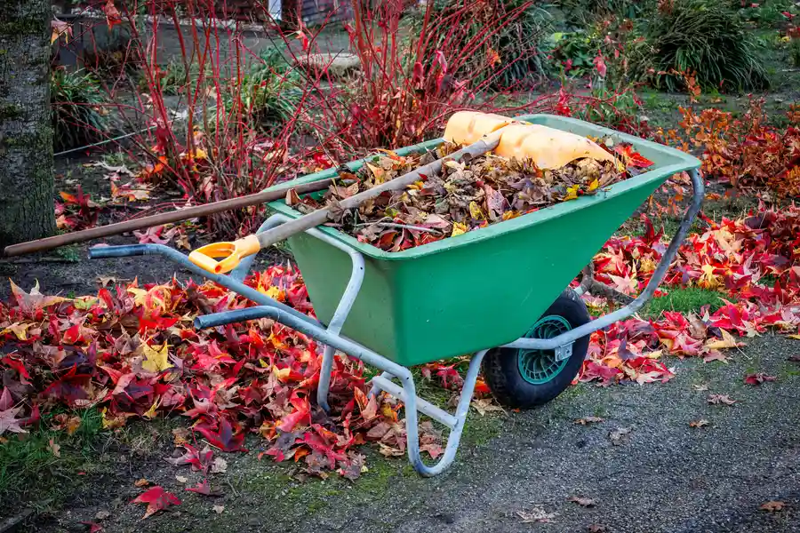 The Role Of Yard Cleanup In Preparing For Outdoor Entertaining in Sunset Heights West, Orem, UT, 84097
